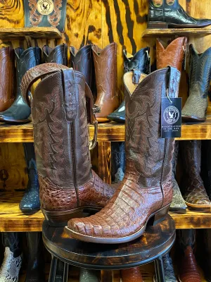 Light Brown Hornback Caiman 9D